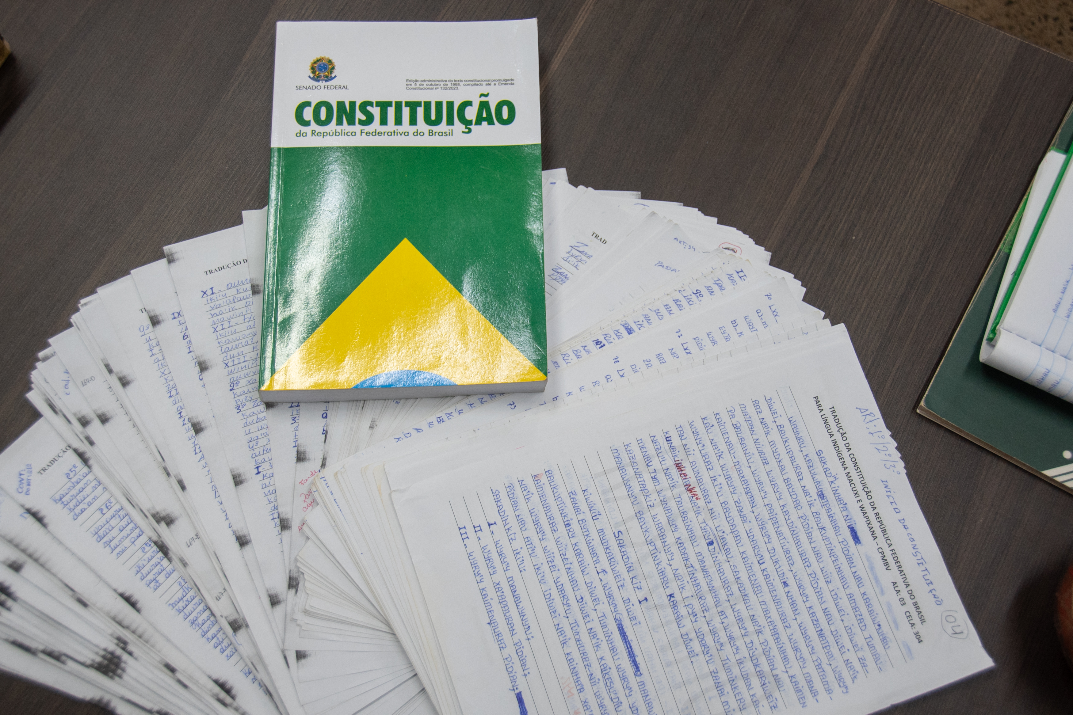 Tradução da Constituição para Macuxi e Wapichana avança com participação de reeducandos